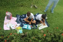 Community garden: the harvest that feeds the Tiger Café